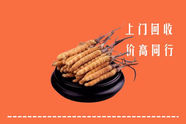 高价求购：吕梁回收散虫草