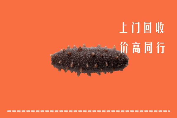 高价求购：吕梁回收海参