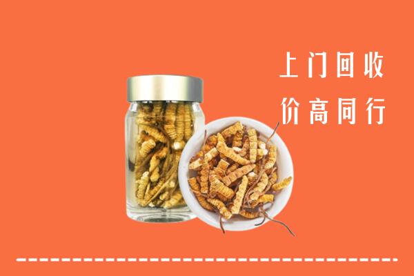 吕梁回收冬虫夏草